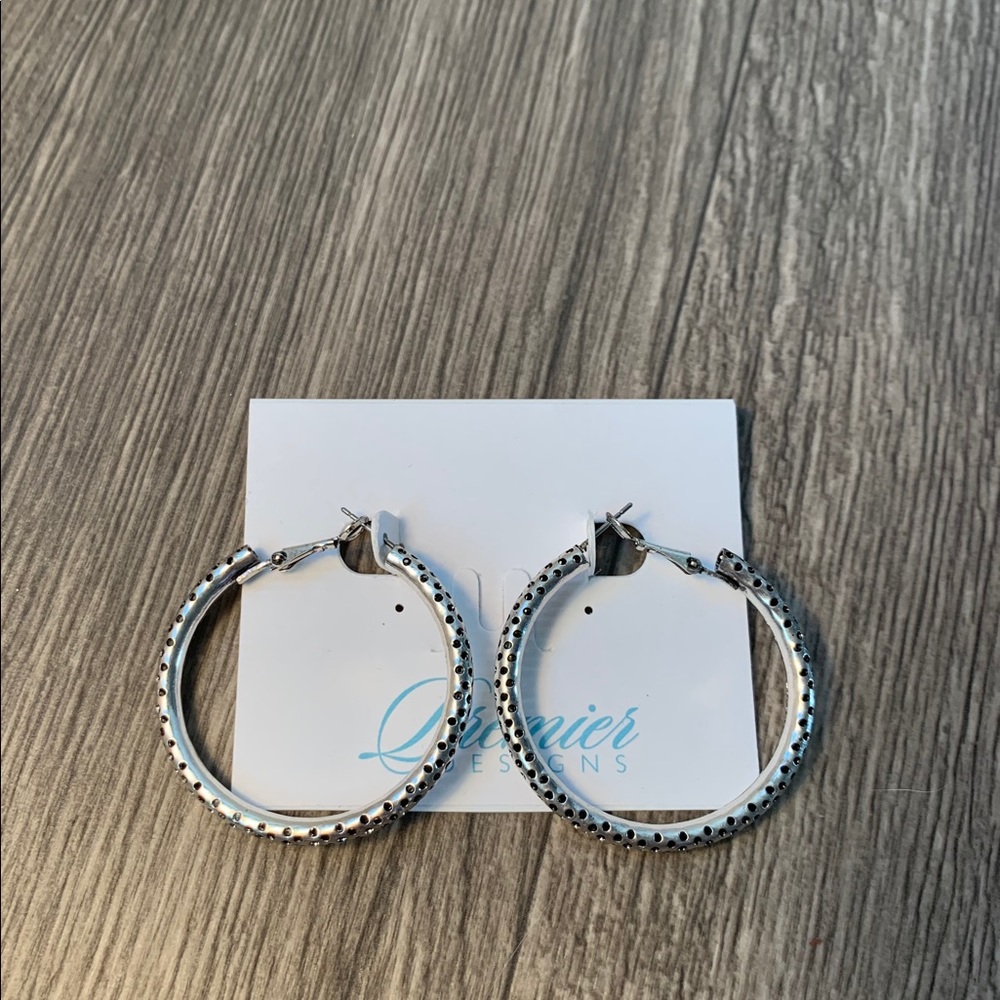 Premier Designs In the Loop Earrings